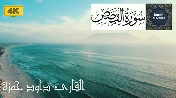 سورة القصص - بصوت القارئ داود حمزة