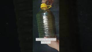 Trash Turned Amazing Plastic Bottle Craft Ideas