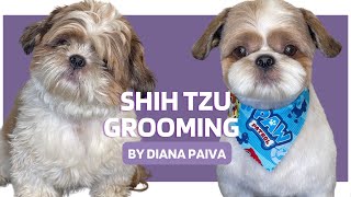 HOW TO GROOM A SHIH TZU - Dog Grooming Tips #dogs #doggrooming #shihtzu
