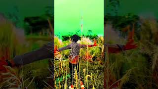 https://www.shutterstock.com/video/clip-3845604791-1-million-likes-social-media-icon-popular