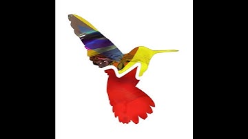 Random Movement Podcast #156