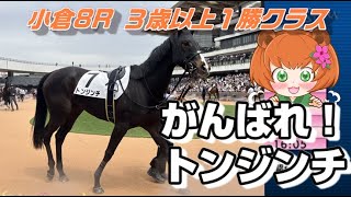 2024年7月6日 小倉8R 3歳以上1勝クラス がんばれ！トンジンチ
