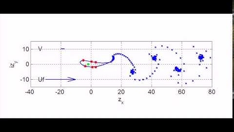 Vortex-sheding flow simulation of a swimming foil