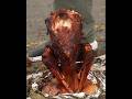 @BibekBhattar Turkey Roasted Under Bucket Roasted Cooking Amazing Yummy Style