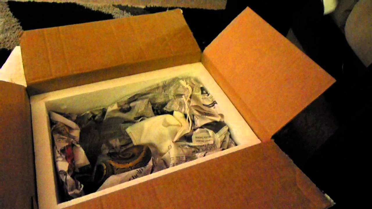 morphemes pdf Ball Python Unboxing