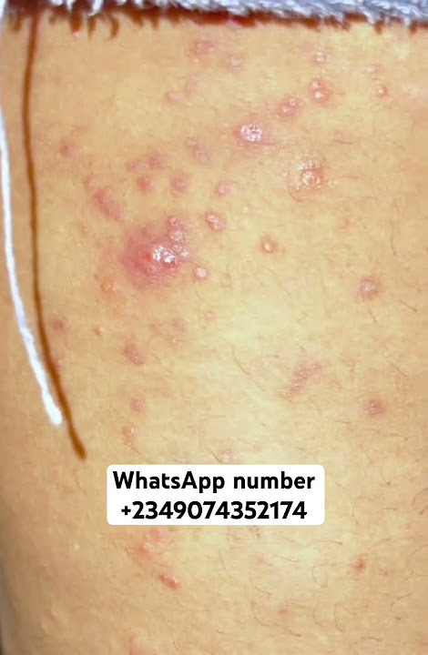 WhatsApp  2349074352174