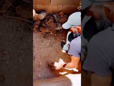 العثور على ثلاث جثث متحللة باللباس العسكري مع أسلحتهم الفردية في راشيا الوادي Otvlebanon