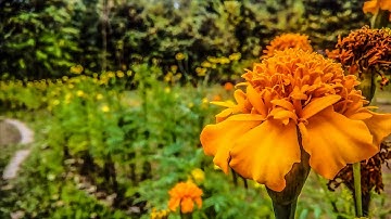 How to make HDR Effect in Photoshop. Easy Steps!