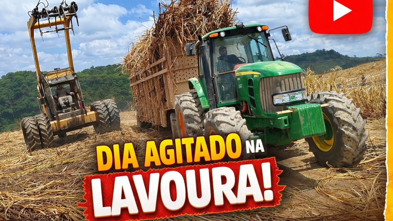 Transporte de Cana-de-Açúcar em Ação! Dia Pesado na Lavoura