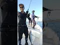 #fishing #釣り #automobile