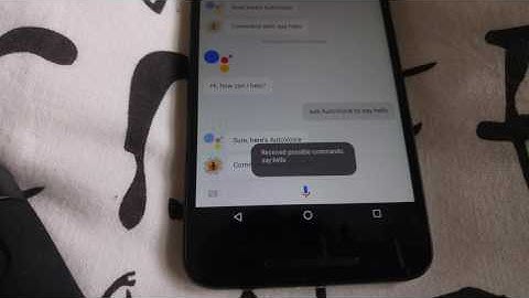 Ask AutoVoice To Say Hello