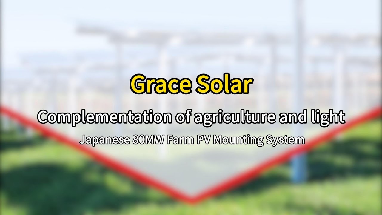 How Will Grace Solar's 40MW Leap & 17 Years' Expertise Shape Japan's Climate Innovations in 2025?