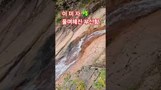 #설악산#이미자