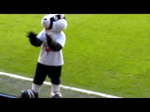 Billy the Badger at the Fulham v Stoke Game 5.5.10