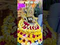 shyam yaar garibo ka 🙏🕉️#viral #khatushyam #shortsfeed #brousefeature #status #khatu #love #bhajan