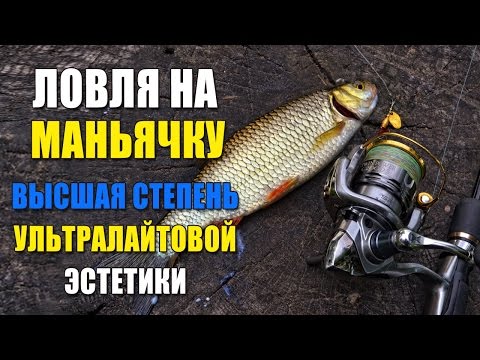 ловля голавля на маньячку