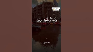 "فقلت استغفروا ربكم انه كان غفارا"سوره نوح 🤍🦋 #قرآن #اكسبلور #قران_كريم