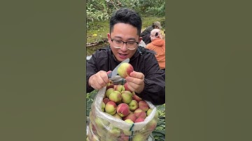 Natural Life Oogst Groene Perziken Fruit 🍑🍑 #fruit #oogst #voldoening #video #viraal #korte #2025