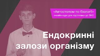 Ендокринні залози організму - Підготовка до ЗНО - Біологія