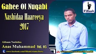 Gahee Ol Nuqabi Nutis Akka Namaa Vol. 05 | Anas Muhammad Nashidaa Haareeya 2017