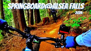 Springboard @Alsea Falls 2024