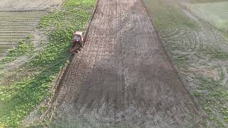 IN FRONT OF DJI MINI 4 DRONE : Old type MTZ tractor ploughing the field