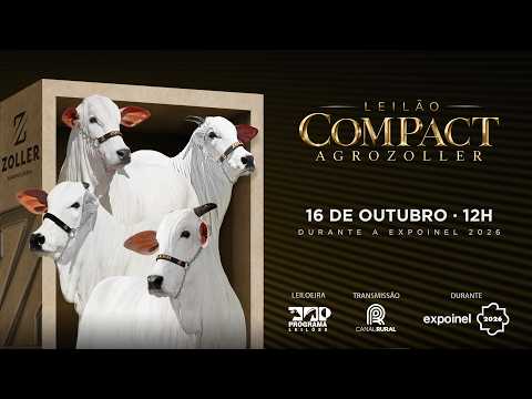 LOTE 10