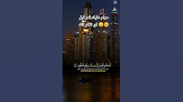 القران الكريم راحة نفسية 🌹🌹 #viralvideo #اكسبلور #funny #tiktok #video #تيك_توك #viral #quran
