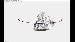 Sparse 3D Reconstruction - Apple Tree
