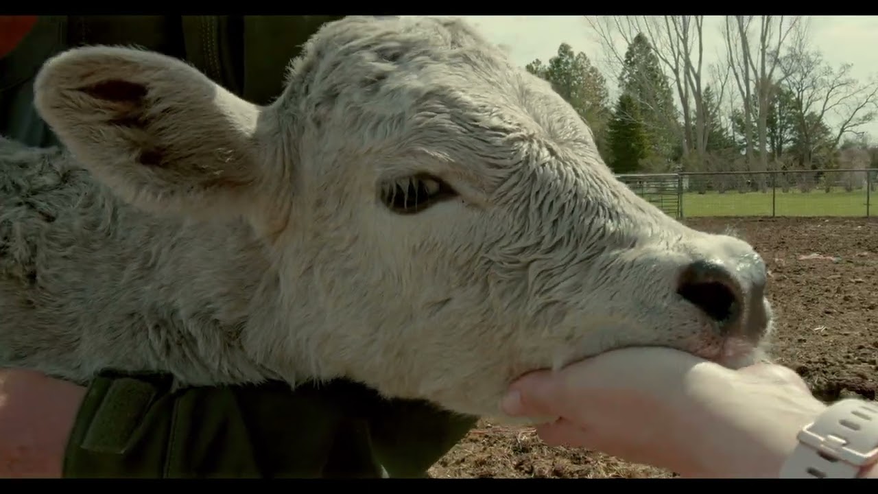 Western Colorado Ranch