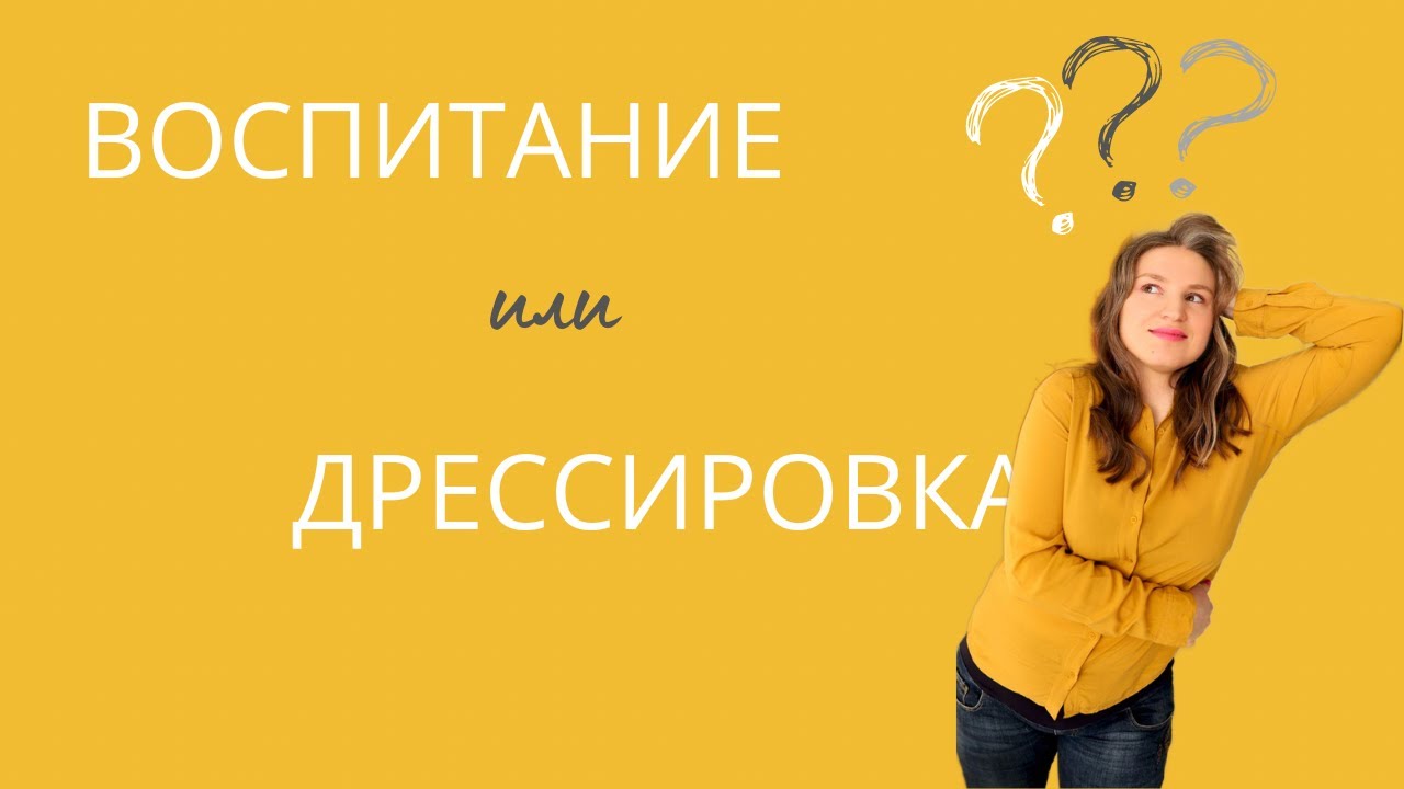 Воспитание или Дрессировка - YouTube