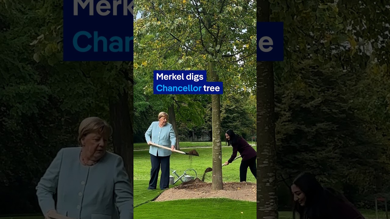 Merkel's Linden: A tree for 16 years in office | DW News