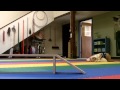 The Richmond SPCA's School for Dogs! The Richmond SPCA's School for Dogs!