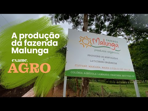 EXAME AGRO: conheça uma das maiores fazendas de orgânicos do Brasil