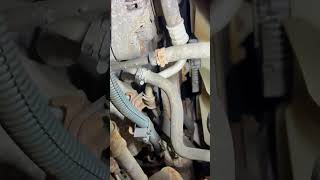 Locking hose clamp pliers