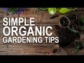 Simple Organic Gardening Tips to Get You Ready for Planting