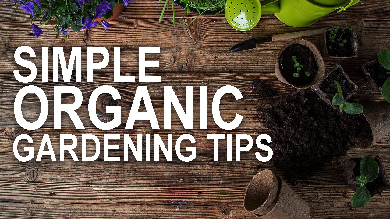 Simple Organic Gardening Tips to Get You Ready for Planting