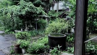 梅雨:츠유 - Niwamori Piano