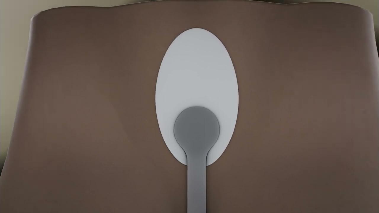 How to wear Xialla Erect Penis YouTube