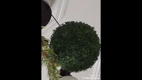 سورة النصر بصوت الشيخ ماهر المعيقلي