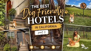 The BEST Dog-Friendly Hotel in calfiornia PT 3 | North Block Hotel, Montage Healdsburg, Dawn Ranch
