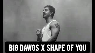 Hanumankind - Big Dawgs X Ed Sheeran - Shape Of You [ Mashup ] 🔥🔥 ~ SHAPE OF DAWGS #mashup2024