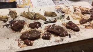 テーブルグリピュア プリンセス ホットプレートで焼肉