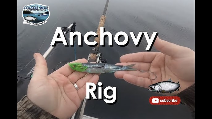 Rhys Davis Large Herring | River Sportsman