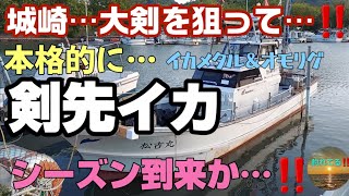 2024年５月初旬…本格的にイカメタル&オモリグ【剣先イカ】シーズン到来か…‼️大剣を狙って…城崎の遊漁船【松吉丸】さんへ