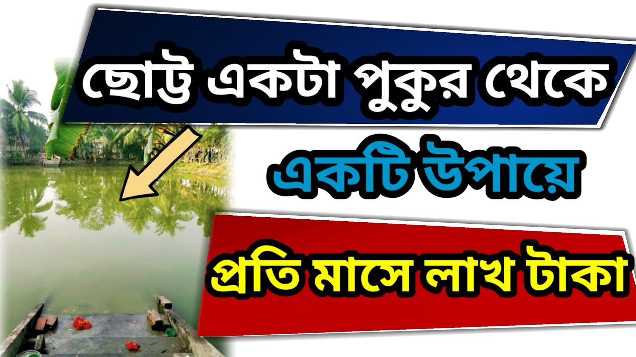 পুকুর থেকে নানা ইনকাম। Earn Multiple Income From A Pond| Fish Farming Business| Agricultural Busines