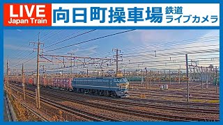 【LIVE】向日町操車場ライブカメラ 2022-02-17 02:35-14:30 Kyoto Japan train livecam