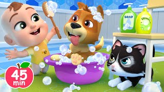 Bingo Pet Store  More Lalafun Nursery Rhymes & Kids Songs