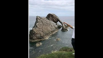 Another Unexplained Anomoly unless you have Mudfossil Eyes