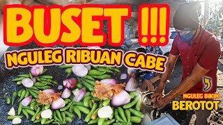 GILAK !!! 5 JAM FULL NGULEK 300 PORSI GAPAKE BERENTI !!! TAHU GEJROT VIRAL JURAGAN !!!